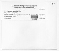 Image Associated With the Occurrence